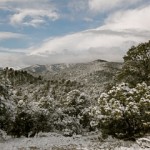 First Basin Snow